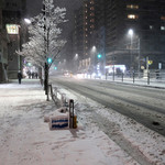 楽衆軒 - 目黒通りに積もる雪