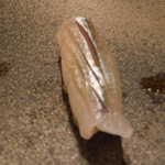 寿し おおはた - 