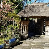 九つ井 本店 - 
