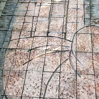 九つ井 本店 - 