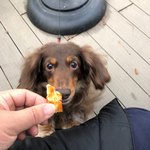 スターバックスコーヒー - 