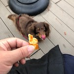 スターバックスコーヒー - 