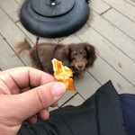 スターバックスコーヒー - 