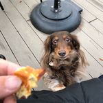 スターバックスコーヒー - 