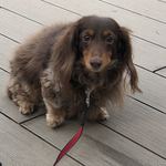 スターバックスコーヒー - 