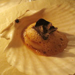 ステラート サパークラブ - 北海道産　ホタテ貝　塩キャラメル　黒トリュフ