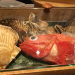 Sushi Sakae - 