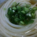 うどん 丸香 - 丸香かけうどんアップ