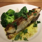 スガハラ - 岡山 真鯛のグリル + ブロッコリー + 蕪 + アスパラ菜