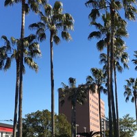 一心鮨 光洋 - 宮崎駅前