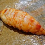 鮨 さいとう - 車海老