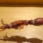 鮨 さいとう - ホタルイカ