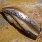 鮨 さいとう - コハダ