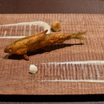 カモシヤ クスモト - 