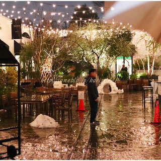 bondolfi boncaffē_2