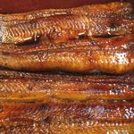 うなぎ亭 友栄 - 