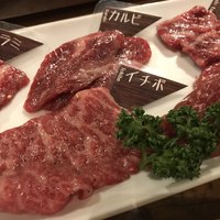 NO MEAT, NO LIFE.2nd - 