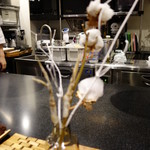 セララバアド - 樹氷　コットン