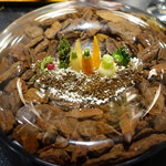 セララバアド - 冬の大地