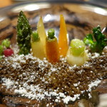 セララバアド - 冬の大地