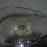 セララバアド - スノードーム