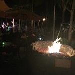 Tropics Bar & Grill - この灯……恋しくて…