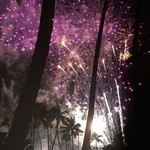 Tropics Bar & Grill - 言葉はいらない