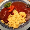 もうやんカレー 大忍具
