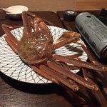 小料理 ゆあさ - 