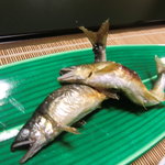 海石榴 - 稚鮎の塩焼アップ