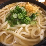 松井製麺所 - かけうどん大500円