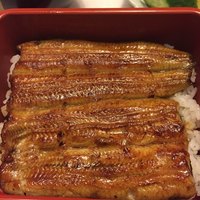 割烹 蒲焼 大沼 - 