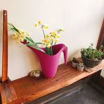 イルパライソ - 