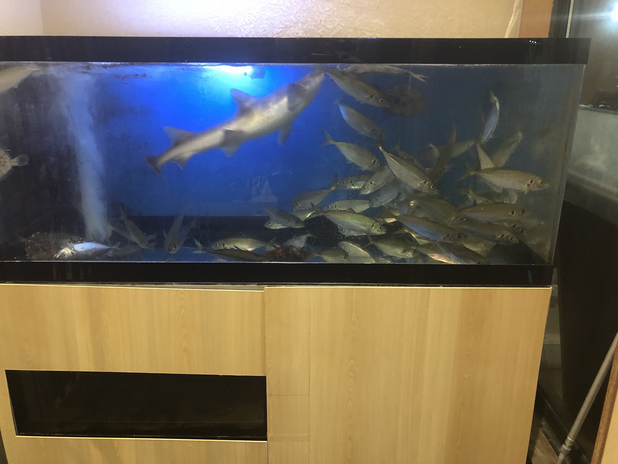 さかなや道場 塩尻広丘店 name=