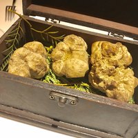 マルゴット エ バッチャーレ - 