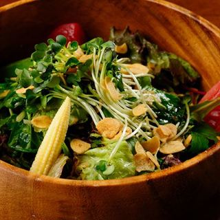 キャノンボール_2