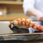 日本橋蛎殻町 すぎた - 【握り】巻き海老