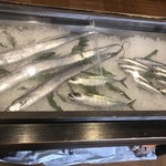 須崎魚河岸・魚貴 - 