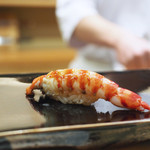 日本橋蛎殻町 すぎた - 【握り】巻き海老