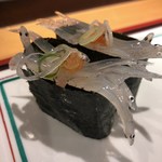 ぶんぶく寿司 - 白魚