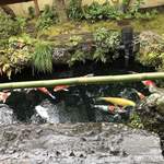 京料理 さくらい - 