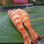 千石寿司 - 茹で活車海老の握り