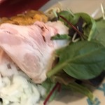 ハイデン.コッコFACTORY サマンサ・タマサ - 