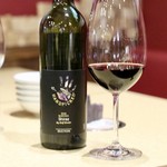 波へい - ハンドピック バロッサ シラーズ