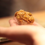 志賀島のムラサキ雲丹