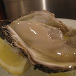 ワイン食堂 イナセヤ キッチン - 岩ガキ