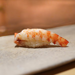 鮨 さいとう - 車えび