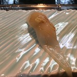 寿し処 まつ元 - ヤリイカ