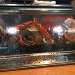 寿し処 まつ元 - 