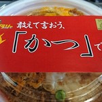 とんかつ まい泉 - ヒレとロースのダブルかつ丼